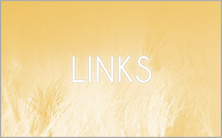 links-button